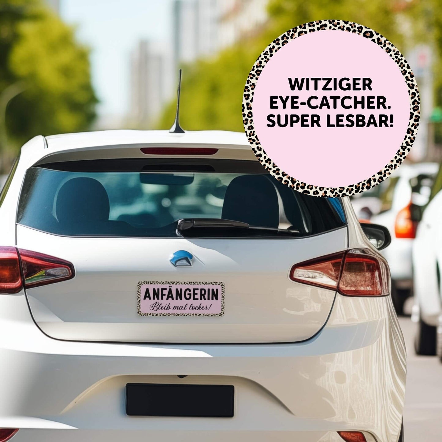 Fahranfängerin Magnetschild auf Auto, 25 x 10 cm, auffälliger Blickfang für Fahranfängerinnen, sicher unterwegs.